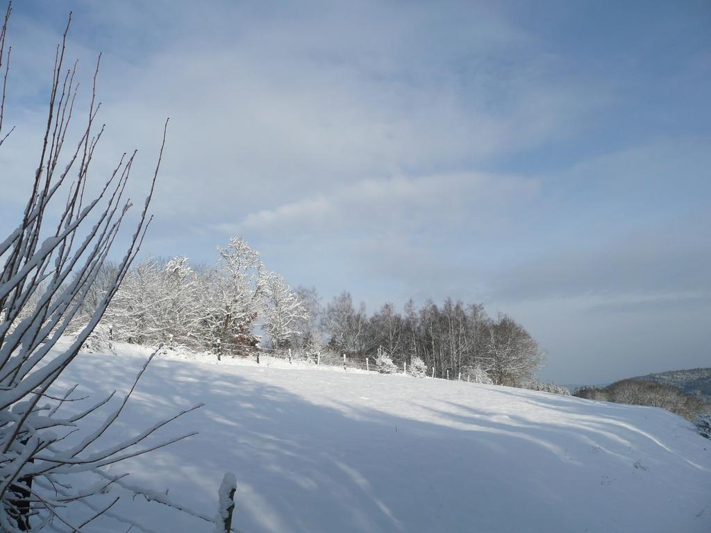 Au Palton Raon-aux-Bois Exterior foto
