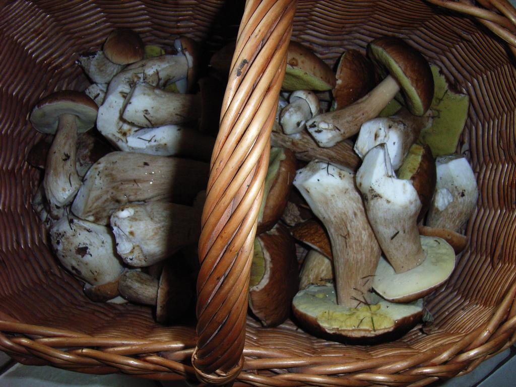 Au Palton Raon-aux-Bois Exterior foto
